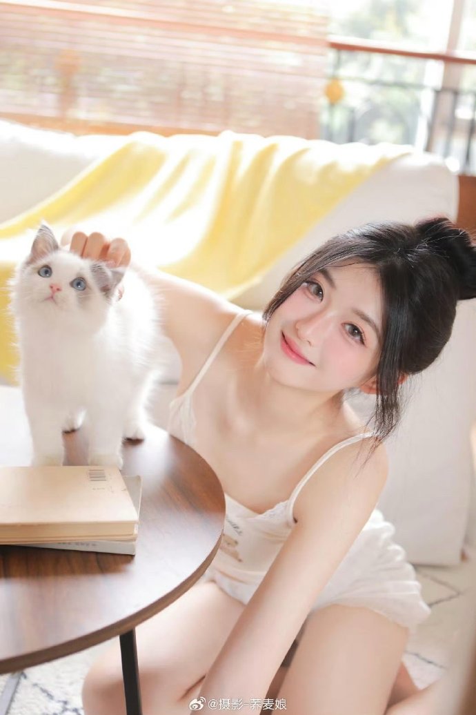橙子影视